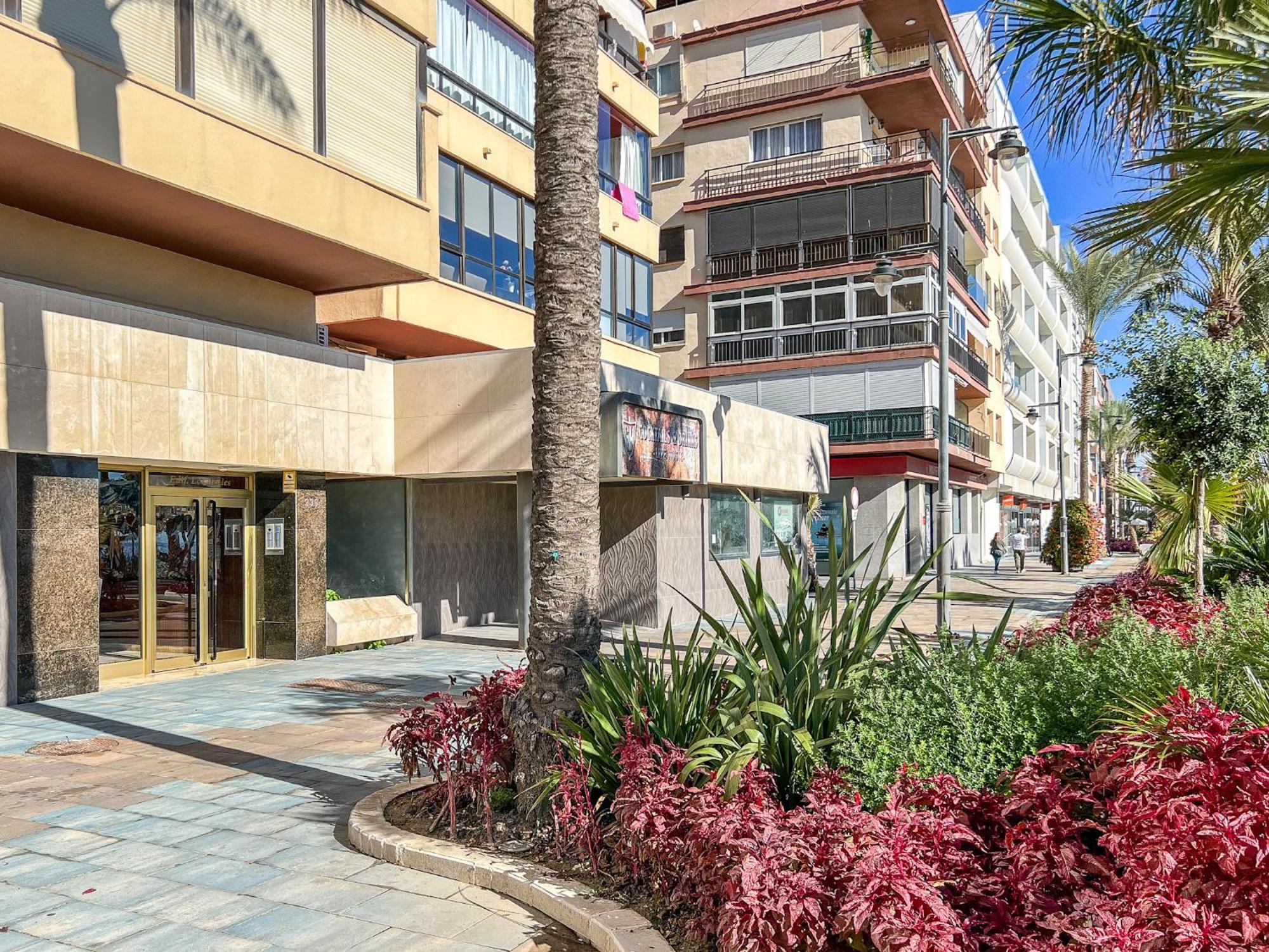 Hanami Avenida De Espana เอสเตโปนา ภายนอก รูปภาพ